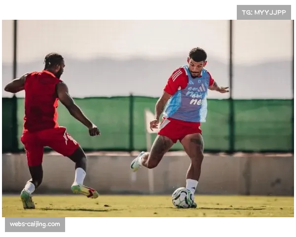 纽卡斯尔联2026年2月引援策略：瞄准高效攻防球员以提升排名